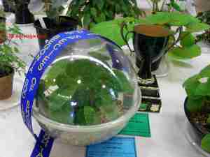 Elsie Paton Trophy 2013-65